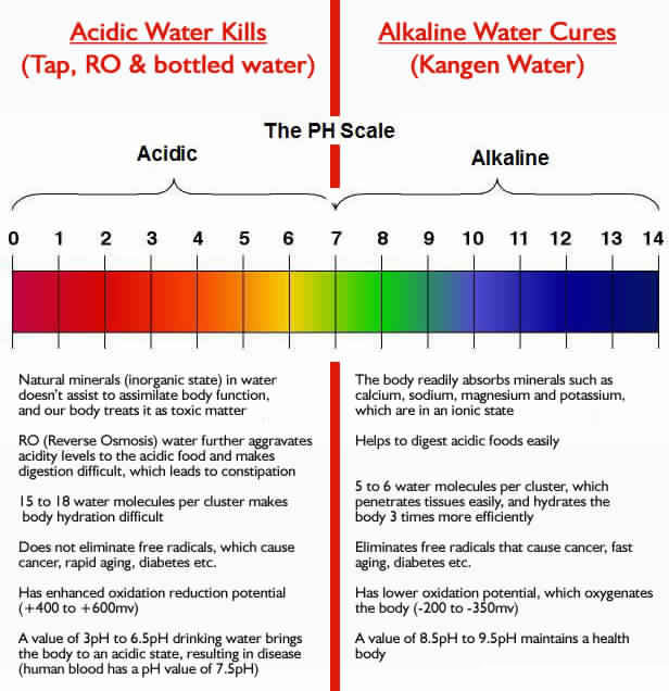 Alkaline Water