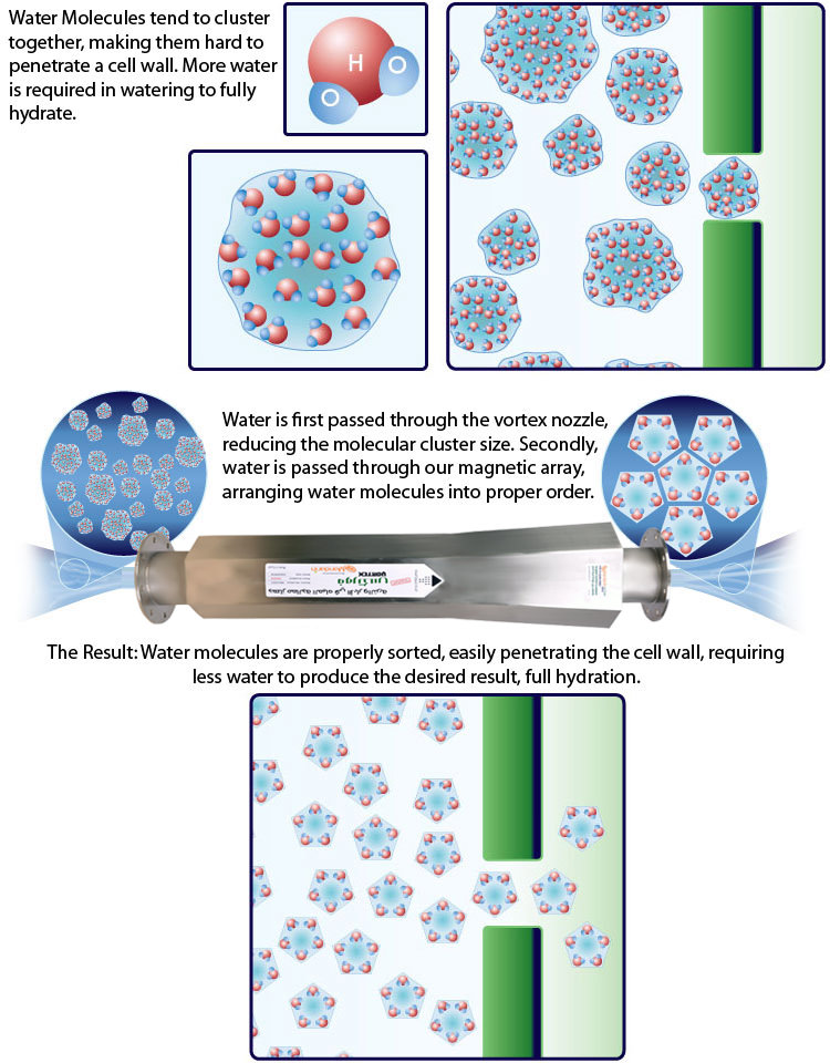 Mandarin vortex magnetic theory how it works